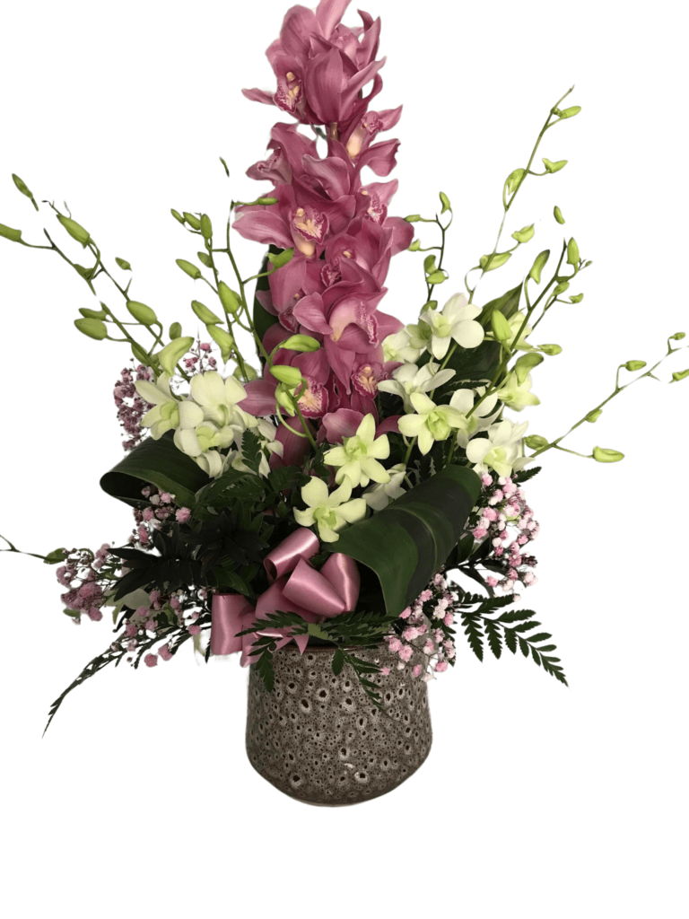 Florist Choice Birthday Orchid $90 to $120